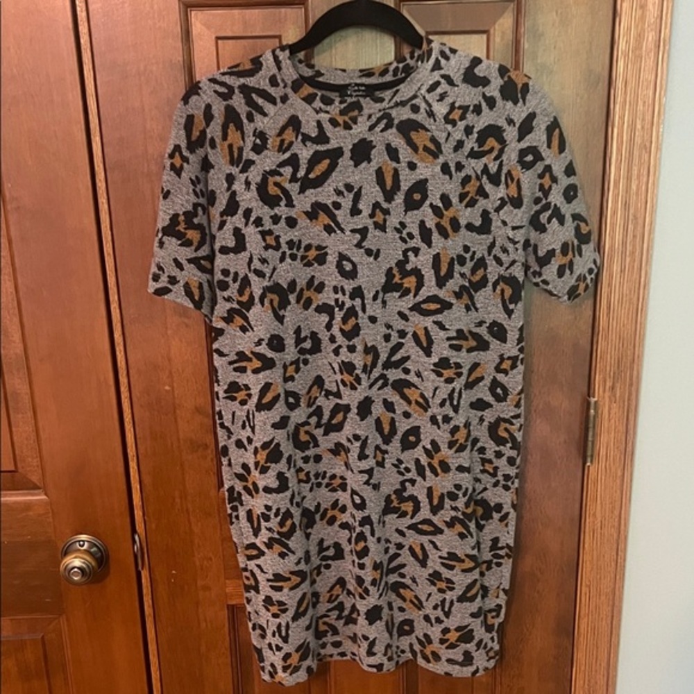 Zara Leopard Print Mini Dress